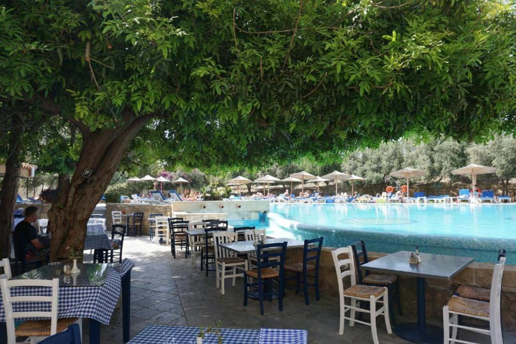 Alex'S Vacation Suite - 100M From The Beach - 6 Guests Paphos Buitenkant foto